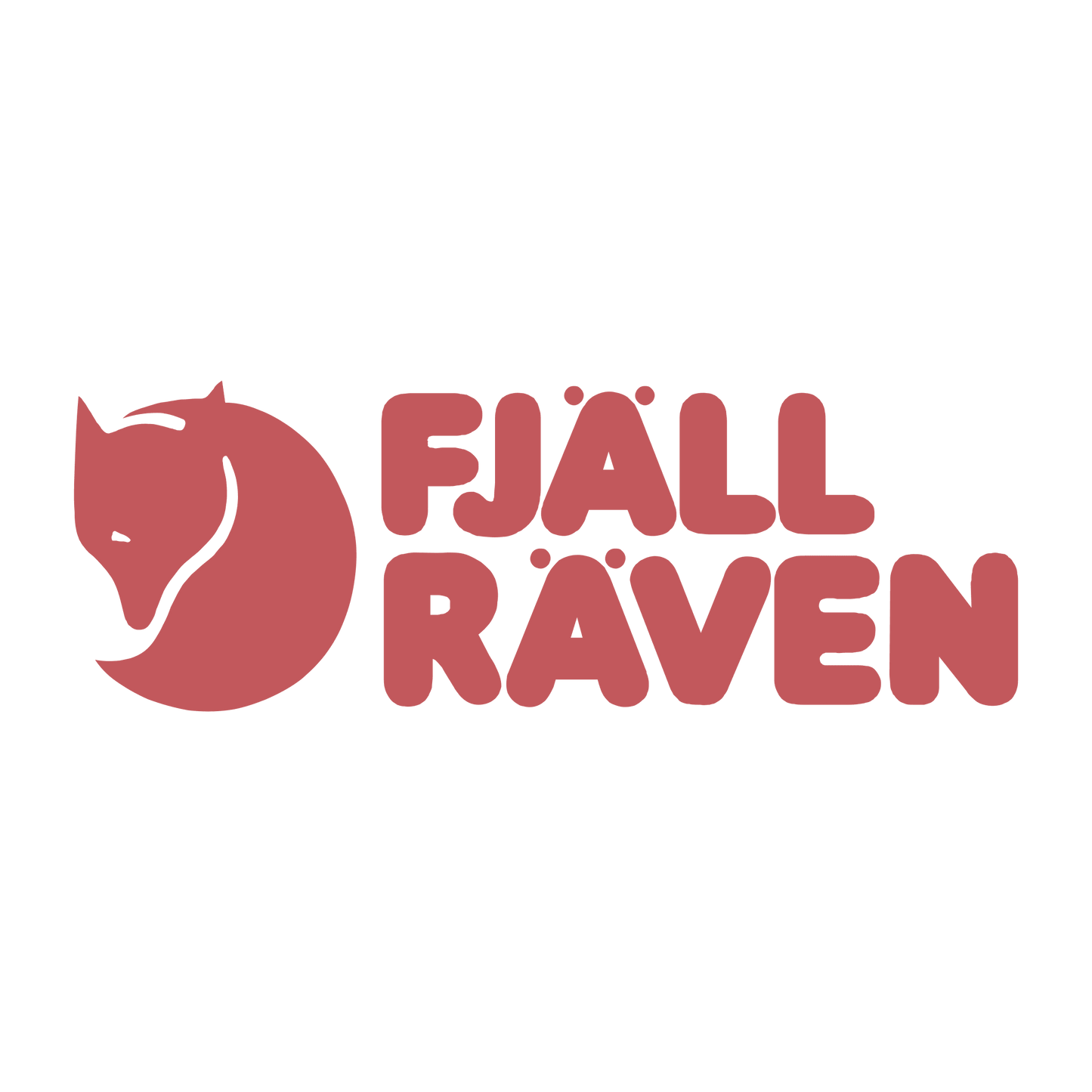 mountain raven