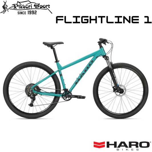 FlightLine 1