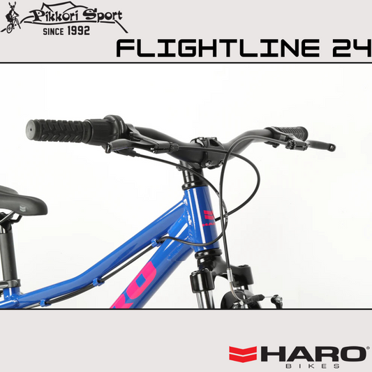 Flightline 24