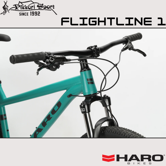 FlightLine 1