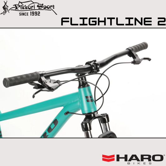 FlightLine 2