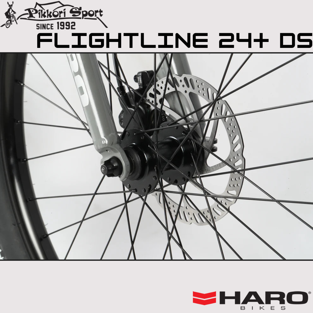 Flightline 24+ DS
