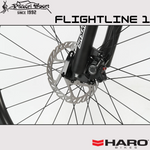 FlightLine 1