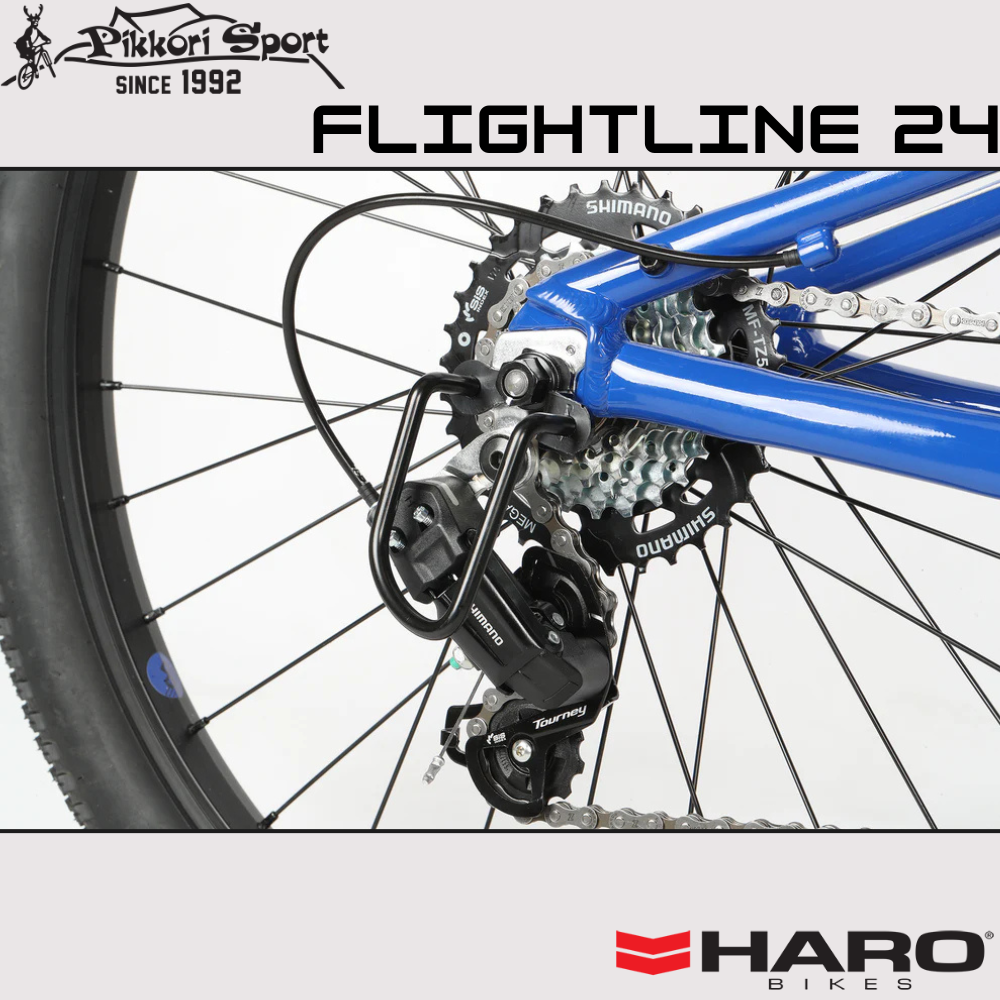 Flightline 24