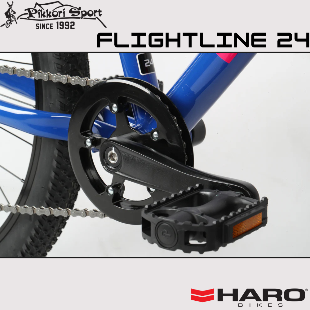 Flightline 24