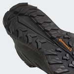 Terrex Free Hiker 2 GTX (M)