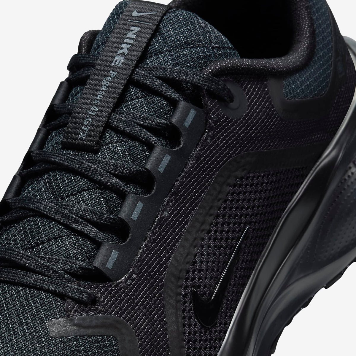 Air Zoom Pegasus 41 GTX (W)