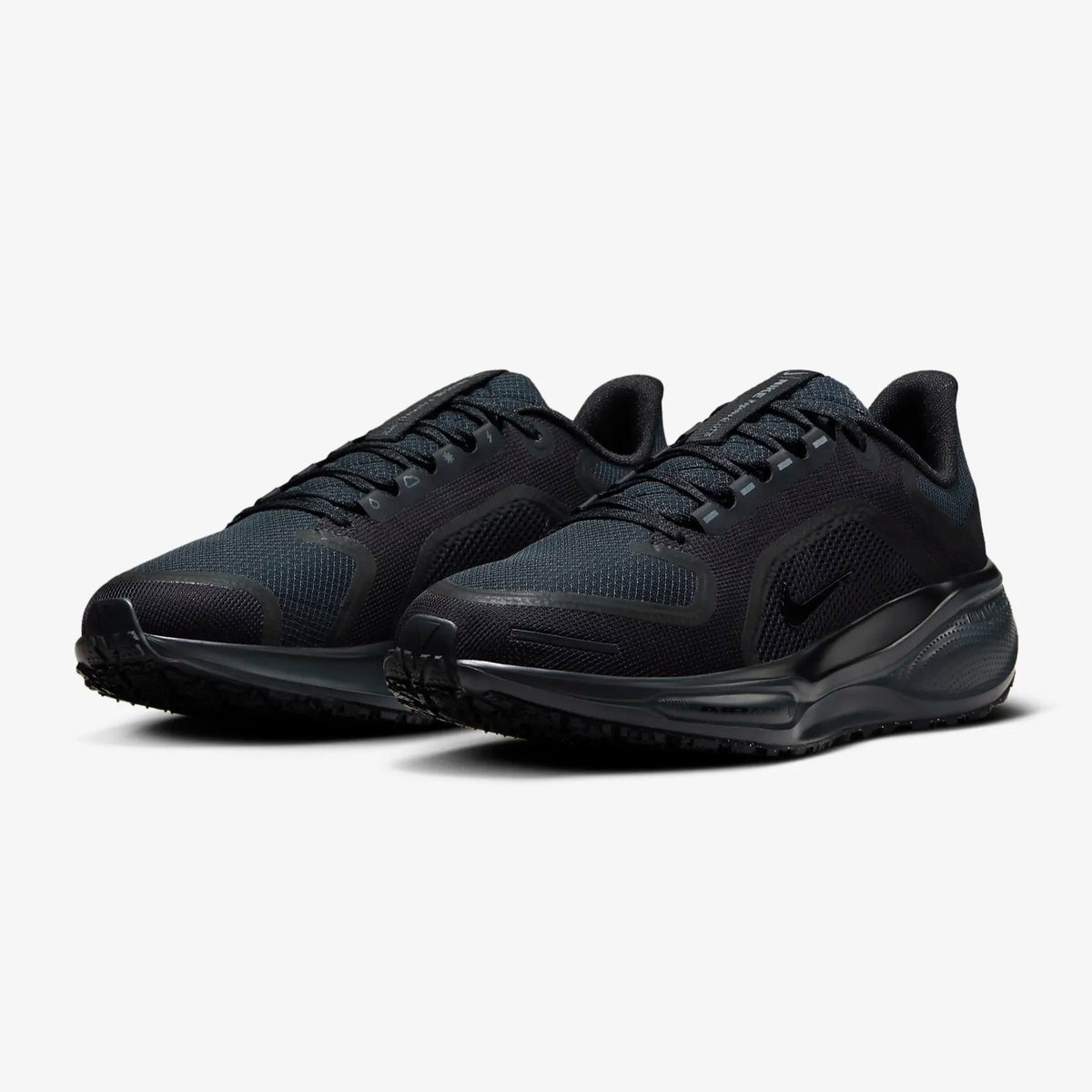 Air Zoom Pegasus 41 GTX (W)