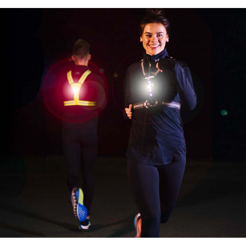 Bee Sport - LED Harness USB