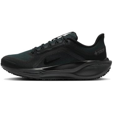 Air Zoom Pegasus 41 GTX (M)