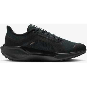 Air Zoom Pegasus 41 GTX (M)