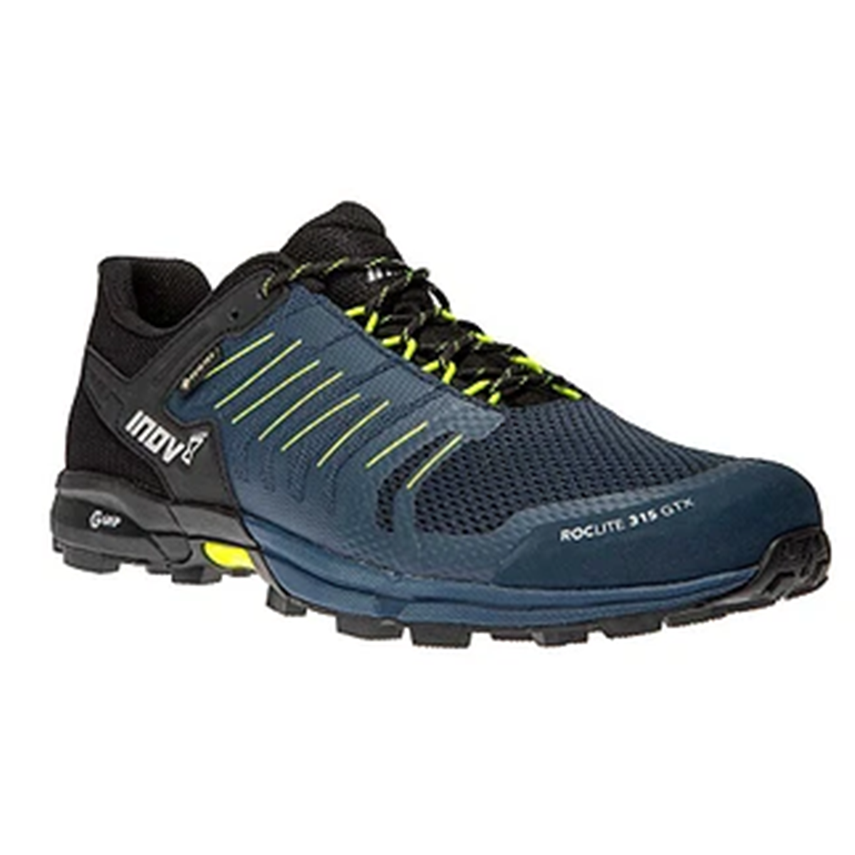 Roclite 315 GTX (M)