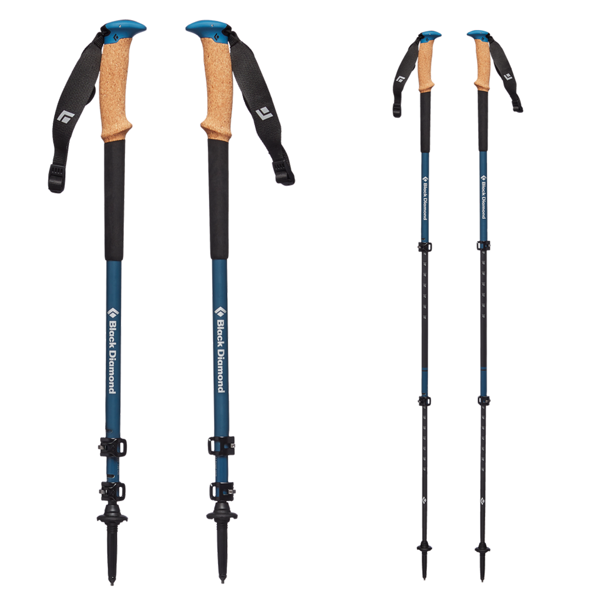 Alpine C Cork Wr Trek Poles