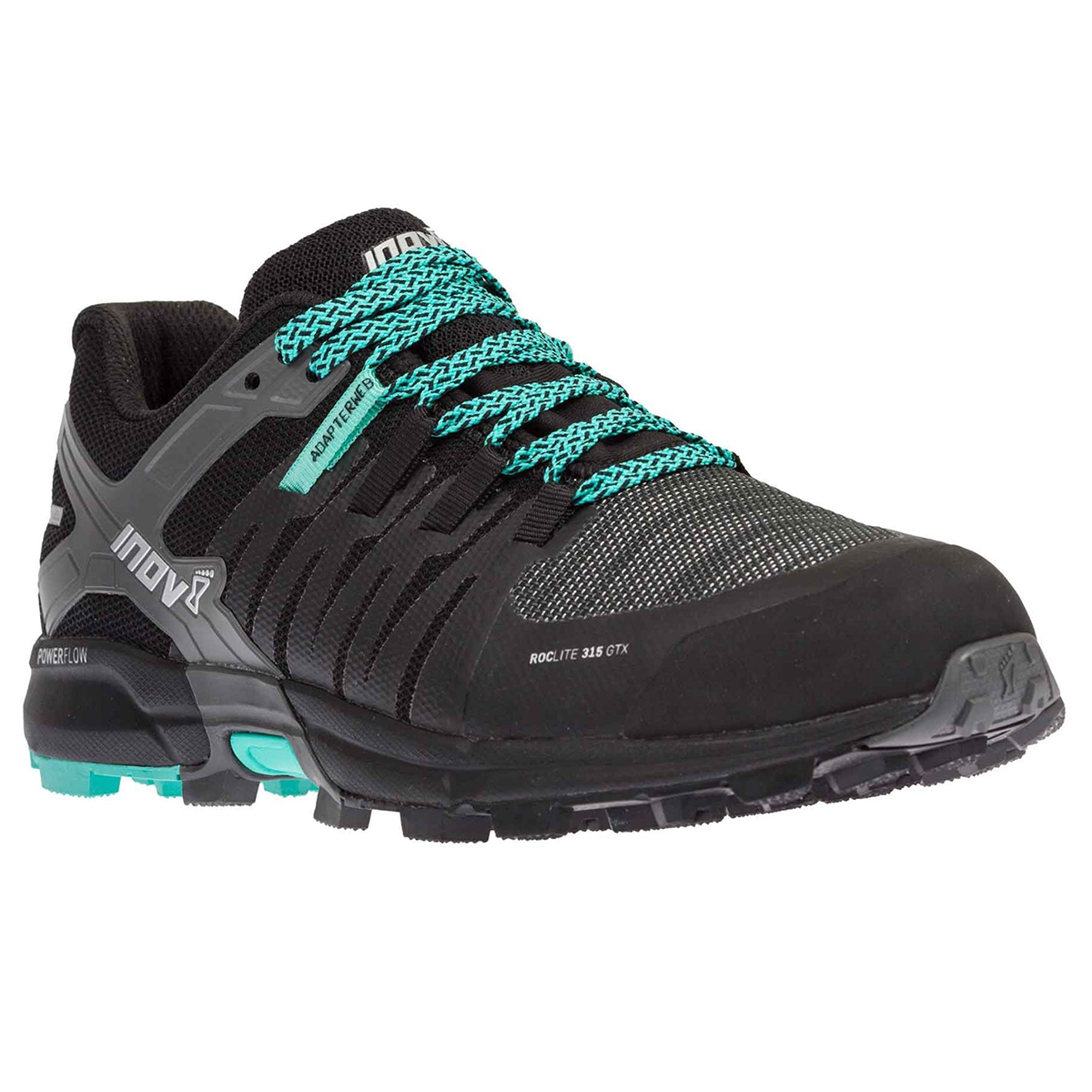 Roclite 315 GTX (W)