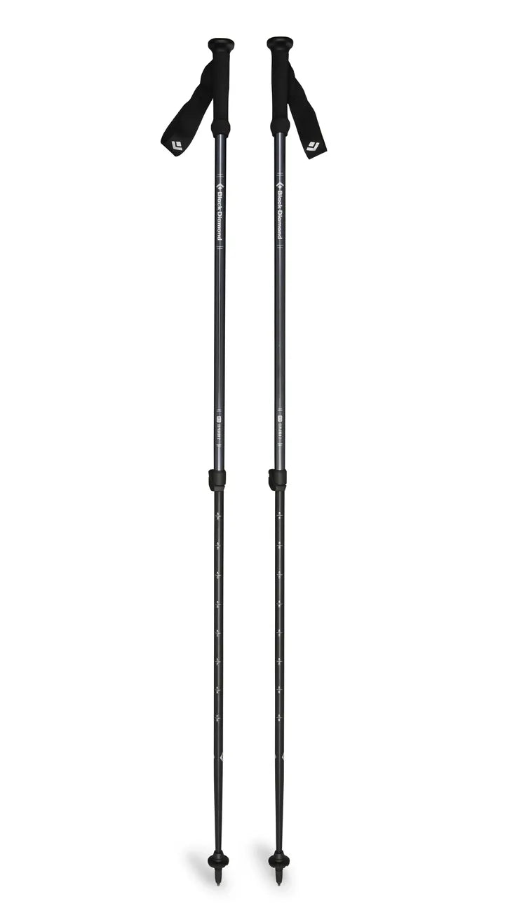EXPLORER 2 TREKKING POLES