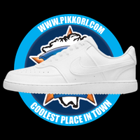 NIKE COURT VISION LO NN (M)