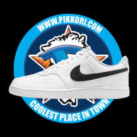 NIKE COURT VISION LO NN (M)