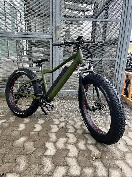 SARFAT Fatbike