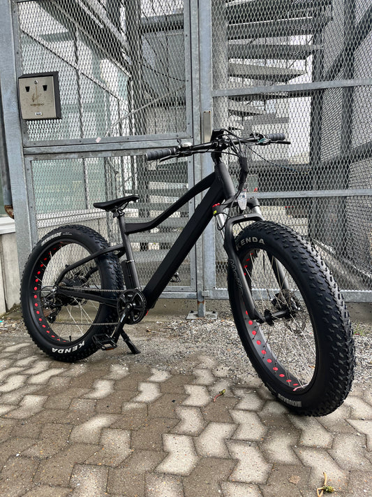 SARFAT Fatbike