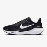 Air Zoom Pegasus 41 (W)