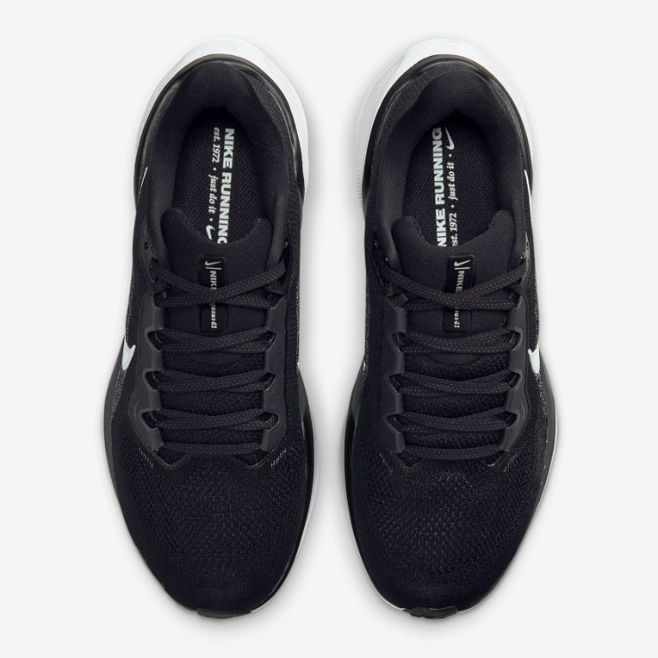 Air Zoom Pegasus 41 (W)