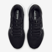 Air Zoom Pegasus 41 (W)