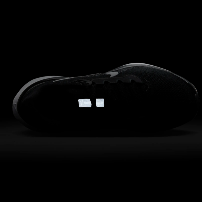 Air Zoom Pegasus 41 (W)