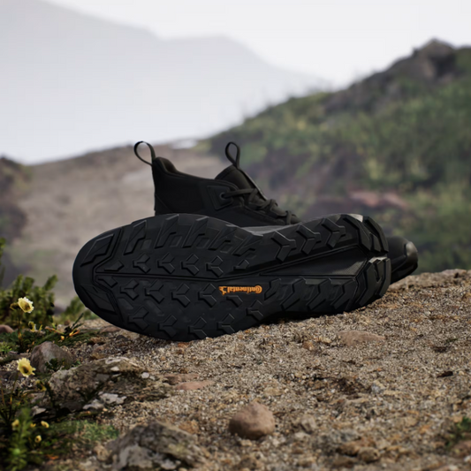 Terrex Free Hiker 2 GTX (M)
