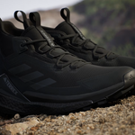 Terrex Free Hiker 2 GTX (M)