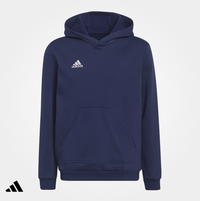 ENT22 Hoody (UB)