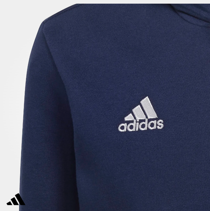 ENT22 Hoody (UB)