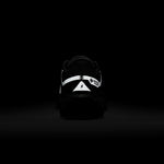 Air  Zoom Pegasus 41 GTX (W)