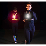 Bee Sport - LED Harness USB