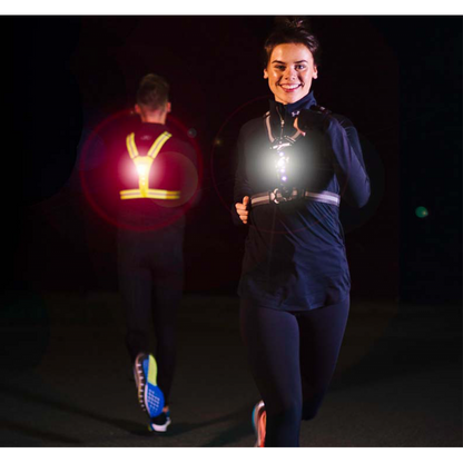 Bee Sport - LED Harness USB