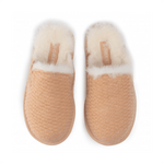 Hadley (W) - pikkorisport