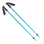 Meta Junius Poles - pikkorisport