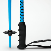 Meta Junius Poles - pikkorisport