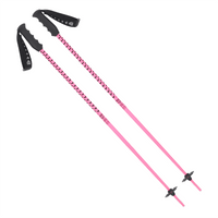 Meta Junius Poles - pikkorisport