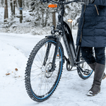 Ice Racer Skin - pikkorisport