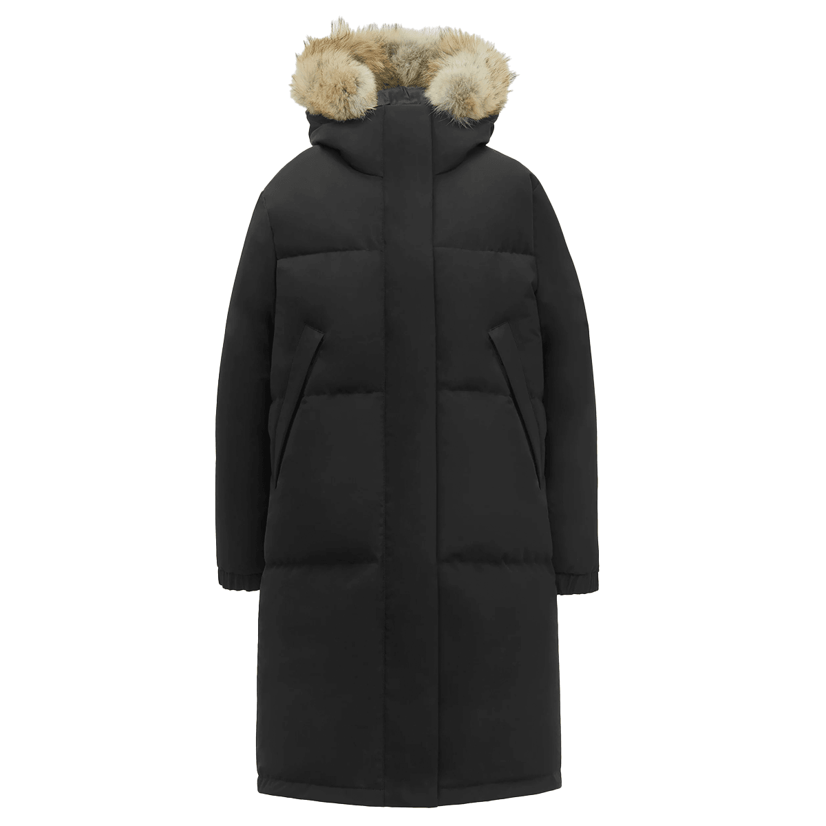 Ines (W) - pikkorisport