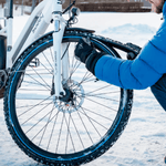 Winter Traveler Skin - pikkorisport