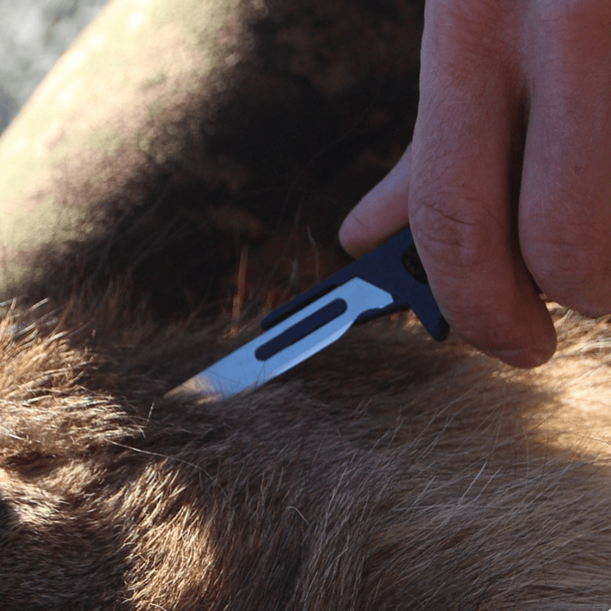 Tyrfing 2.0 - pikkorisport