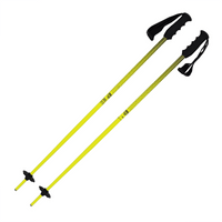 Meta Junius Poles - pikkorisport